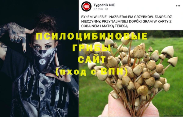 метадон Абинск
