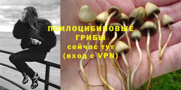 марки nbome Абаза