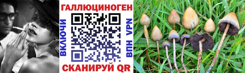 купить наркотики цена  Котлас  Галлюциногенные грибы прущие грибы 